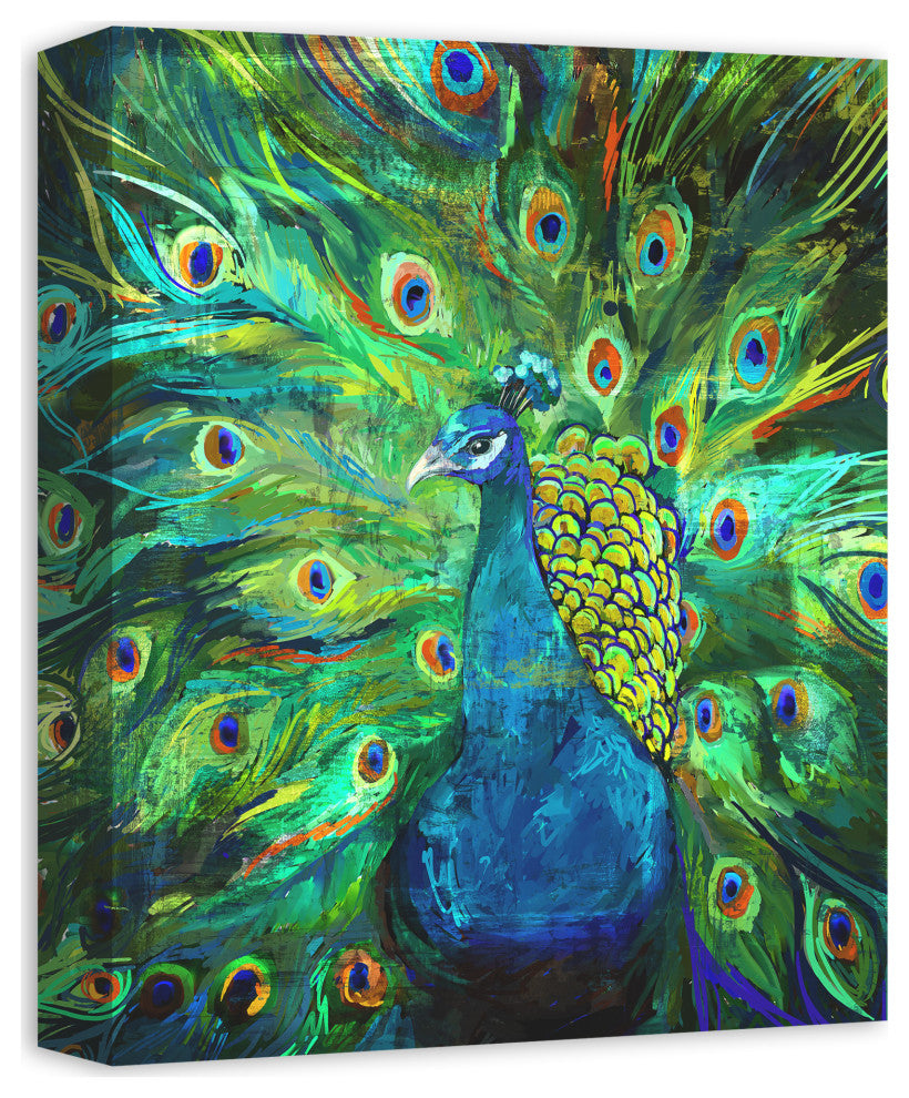Peacock Power 11x14 Canvas Wall Art