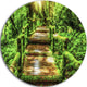 Moss Around Wooden Walkway In Rain, Photo Round Wall Art, 11"