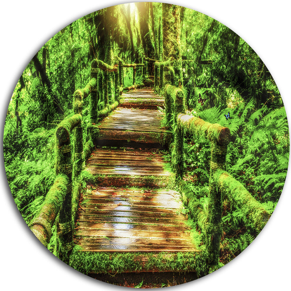 Moss Around Wooden Walkway In Rain, Photo Round Wall Art, 11"