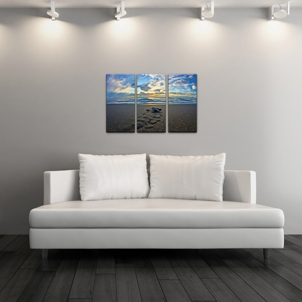 Ready2hangart Christopher Doherty Photography 'Turtle' 3-PC Acrylic Art Set