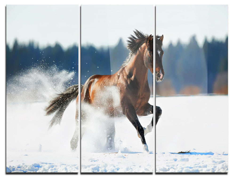 "Horse Running in Winter" Photo Metal Wall Art, 3 Panels, 36"x28"