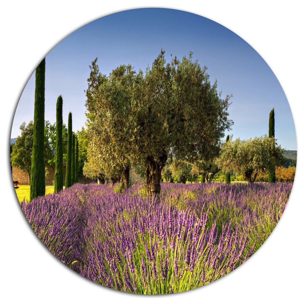 Beautiful Lavender And Olive Trees, Flower Disc Metal Wall Art, 23"