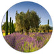 Beautiful Lavender And Olive Trees, Flower Disc Metal Wall Art, 23"