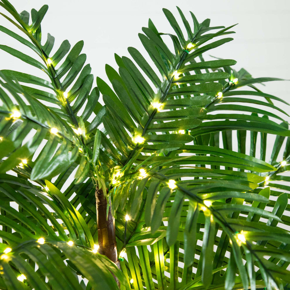 Close-up of palm frond with string lights on a white background.