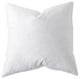Feather Euro Pillows, Set of 2