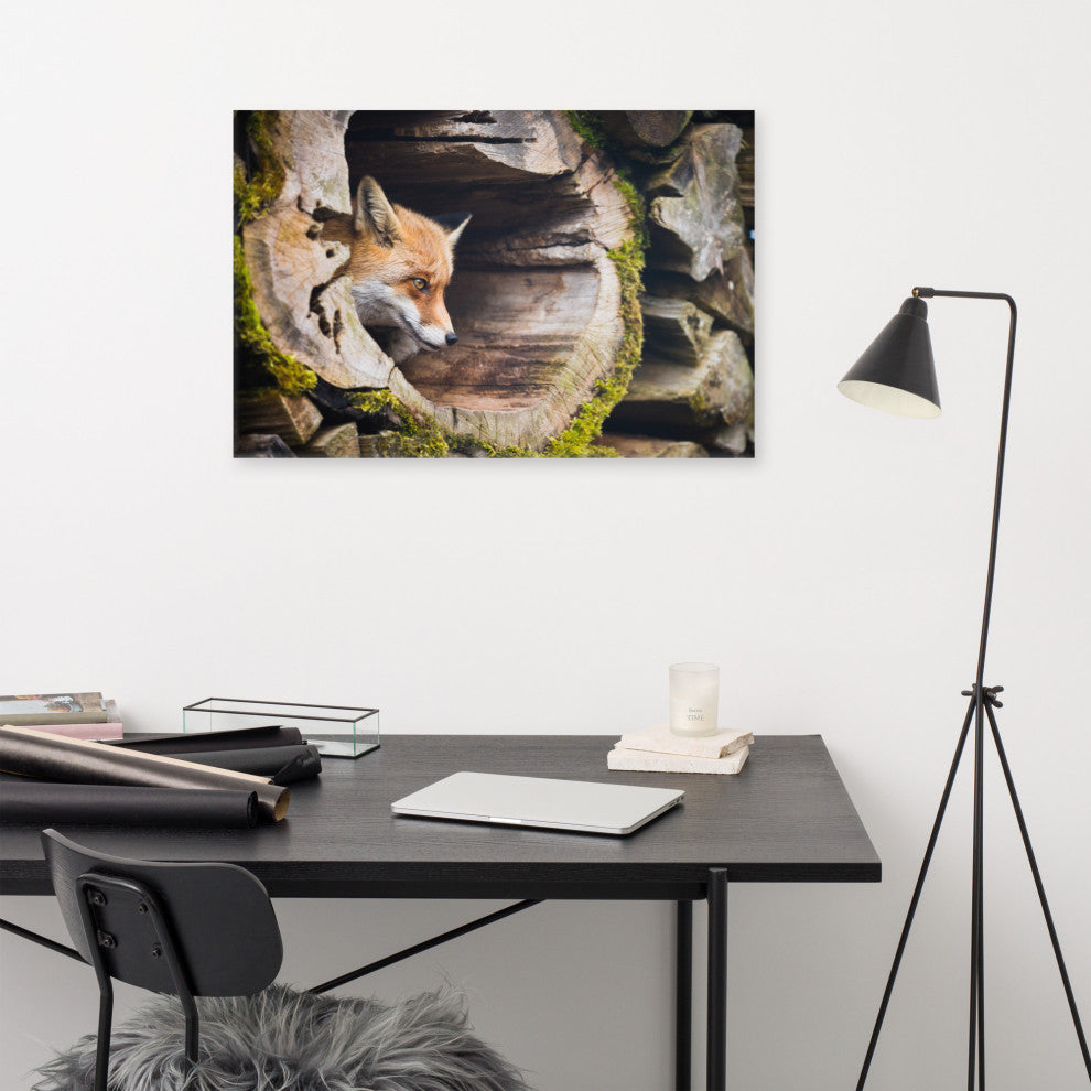 Young Red Fox Face In Mossy Stump Animal Wildlife Photo Canvas Wall Art Prints, 24" X 36"