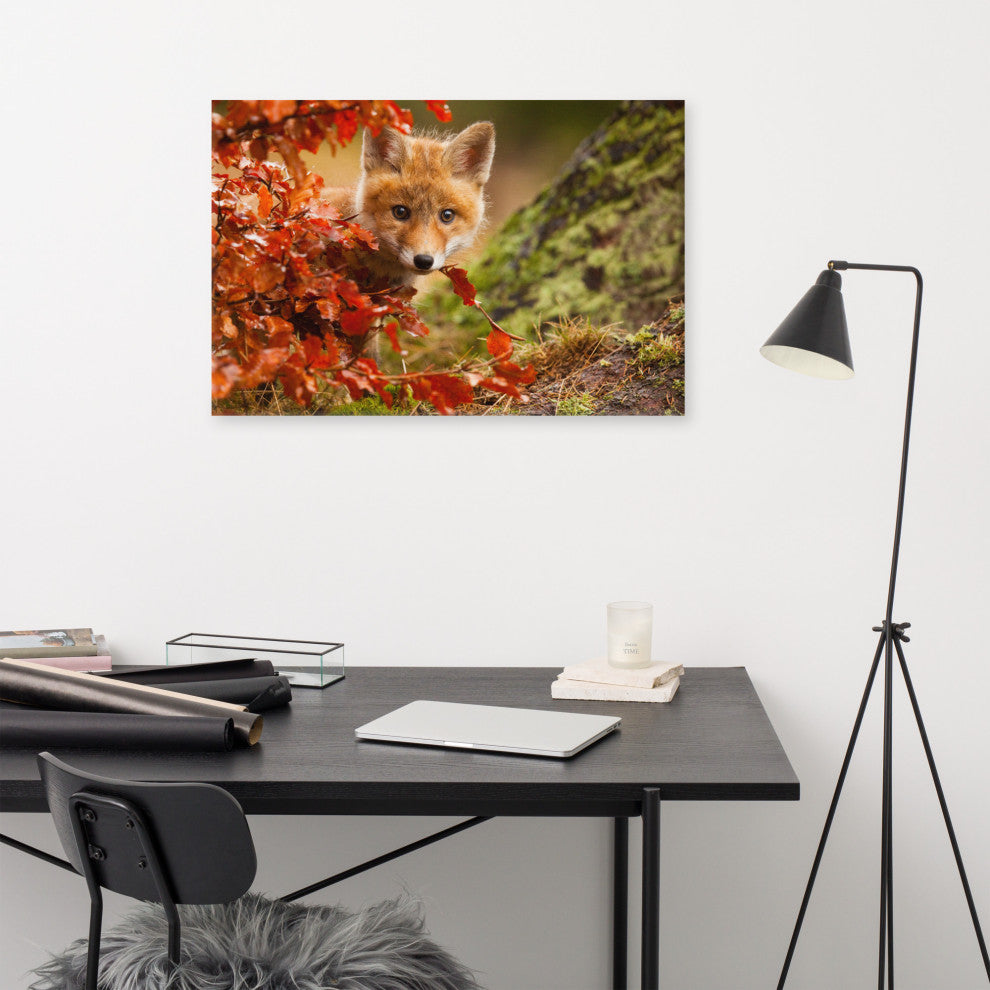 Baby Red Fox Face and Autumn Leaves - Forest Wildlife Photo Canvas Art Print, 24" X 36"