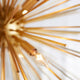 Electra 8-Light Pendant, Gold Leaf