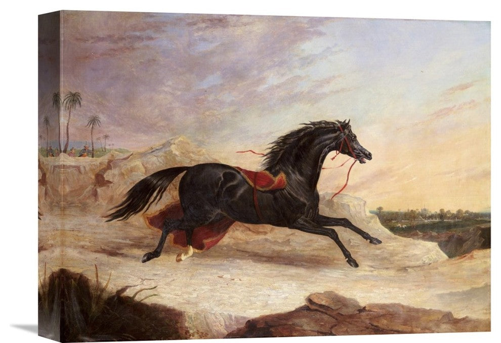 "Arabs Chasing a Loose Arab Horse In An Eastern Landscape" Artwork, 16" x 12"