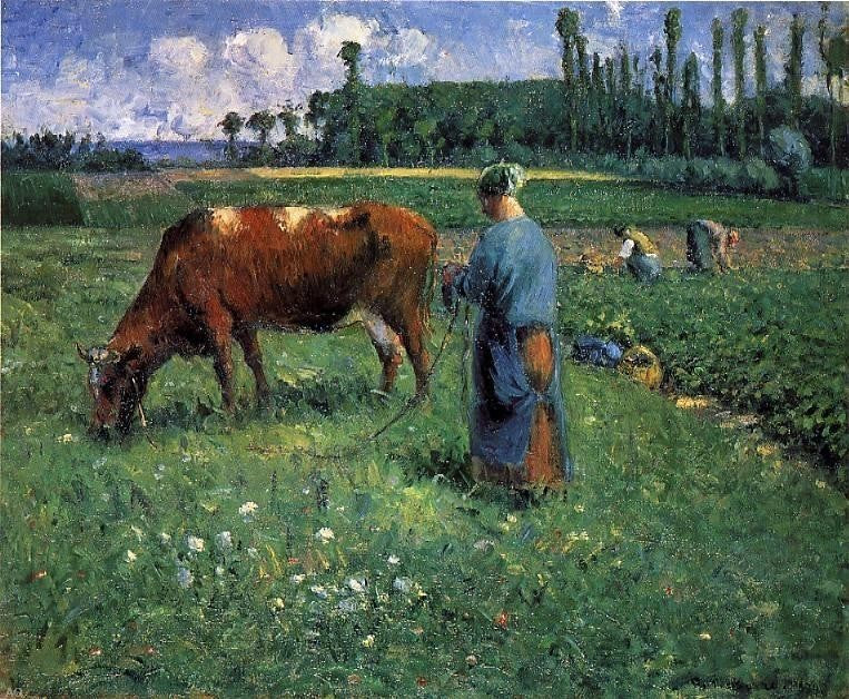 Camille Pissarro A Girl Tending a Cow in a Pasture Gallery Wrapped Canvas Print