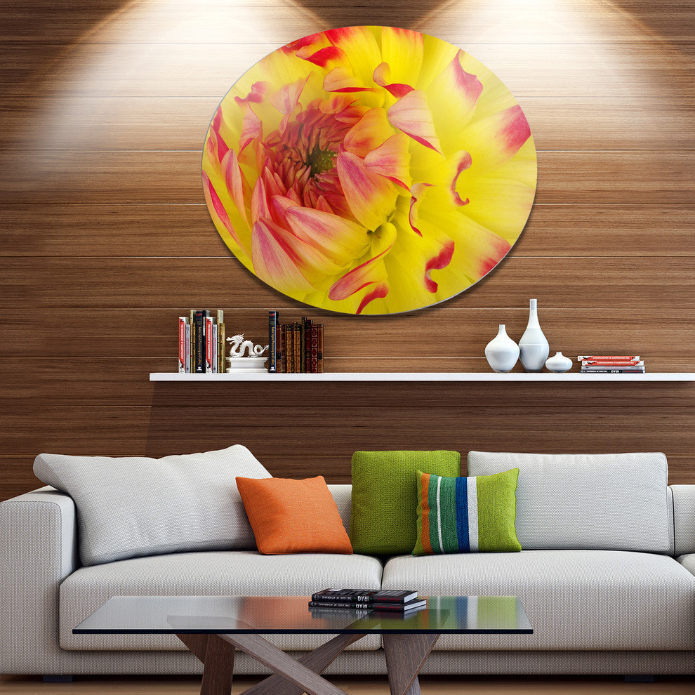 Smooth Yellow Red Petals Close-Up, Modern Floral Round Wall Art, 36"