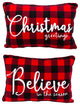 Set of 2 20-in L Fabric Embroidered Holiday Design Pillow