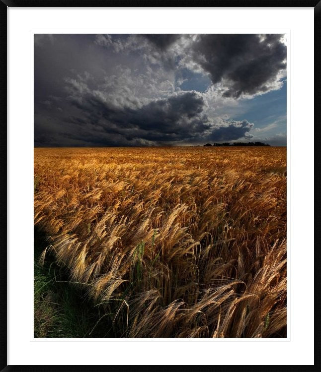 "Strohgaeu" Framed Digital Print by Franz Schumacher, 37x44"