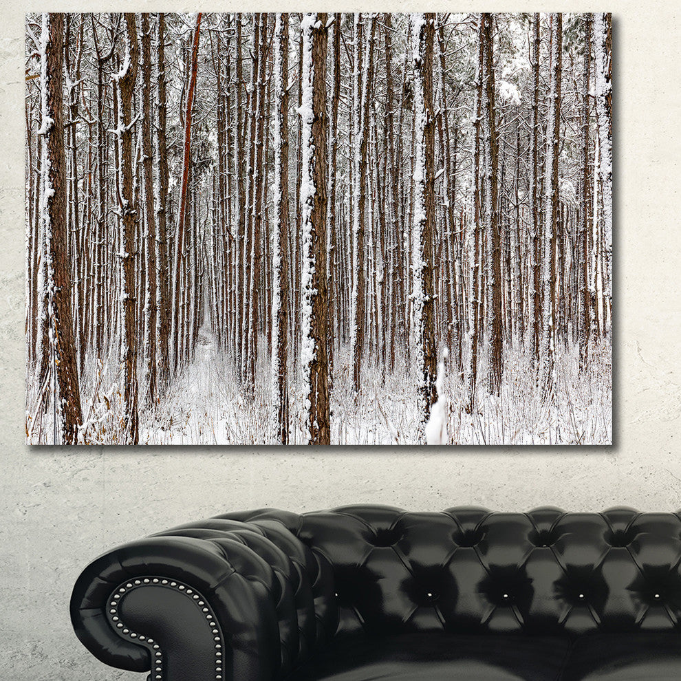 Dense Pine Forest in Winter, Landscape Canvas Art Print, 40"x30"