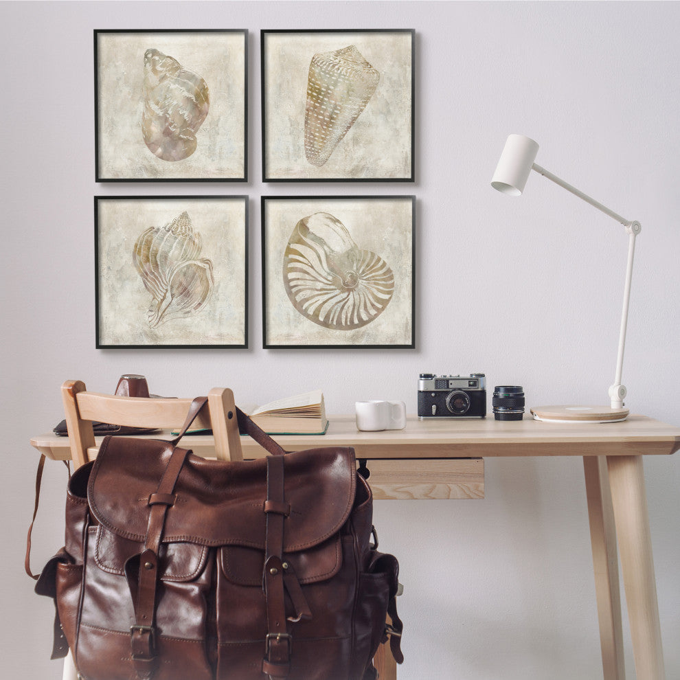 Vintage Nautilus Seashells Soft Brown Patterned Aquatic Animals,17 x 17