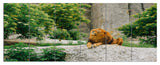Big Lion Lying On Stones in Zoo, Landscape Canvas Art Print, 70"x28", 6 Panels
