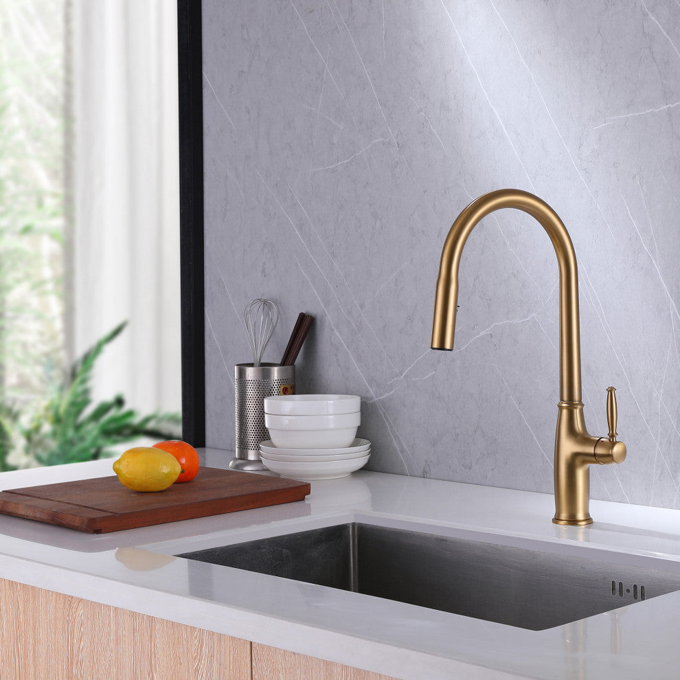 Dual-Function Pull Out Kitchen Faucet With Single Handle and Swivel Spout