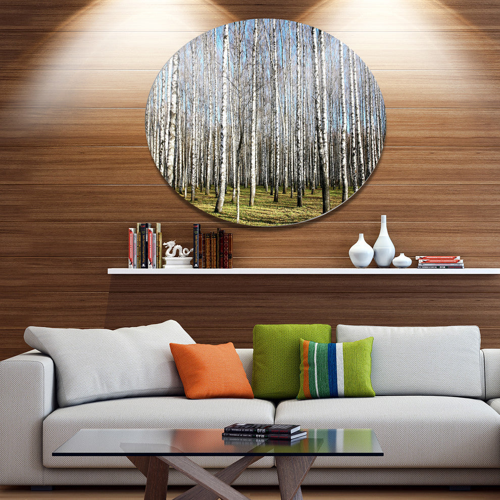 Sunny November Day In Birch Grow, Forest Round Metal Wall Art, 23"