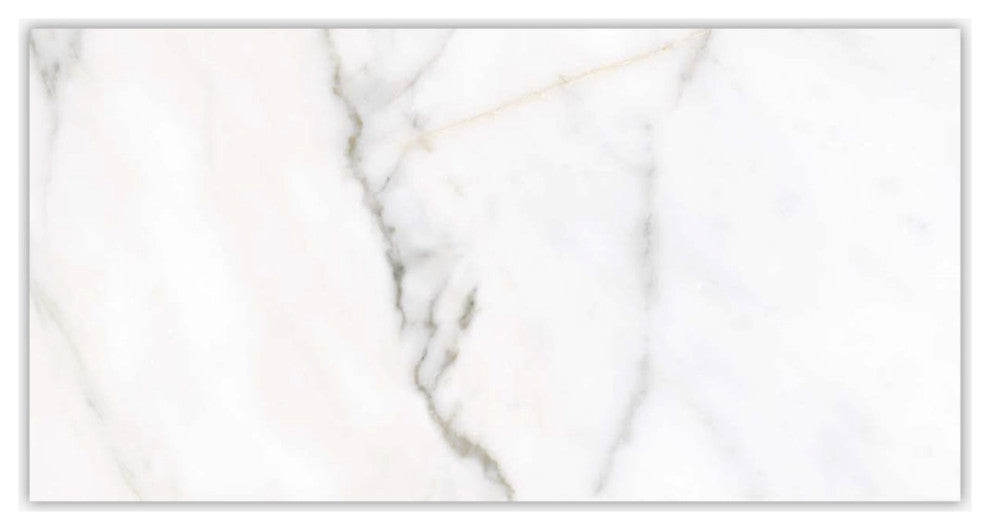 Calacatta Italia Polished 12x24 Porcelain Tile