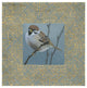 "The Sparrow" Digital Paper Print by Kathrine Lovell, 26"x26"