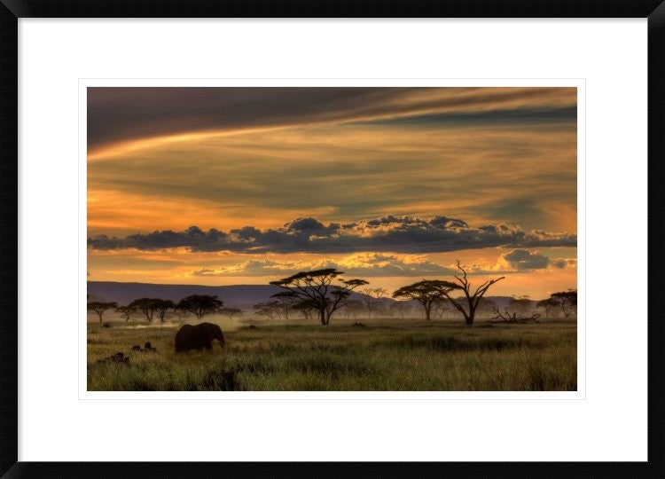 "Africa" Framed Digital Print by Amnon Eichelberg, 30x21"