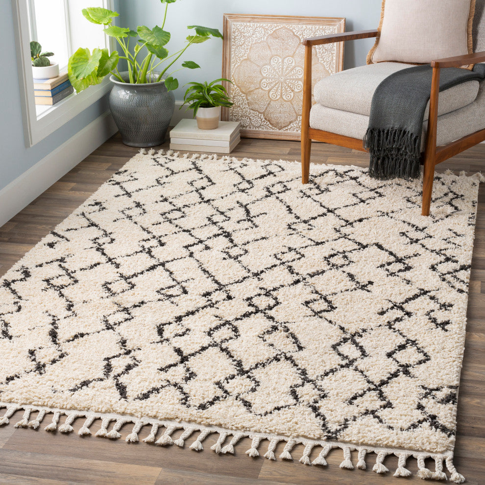 Berber Shag Bohemian Global Charcoal, Beige Area Rug, 2'x3'