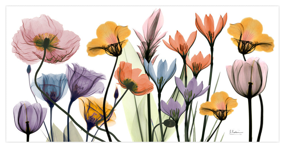 "Flowerscape Portrait" Frameless Floating Panel Graphic Wall Art, 24"x48"
