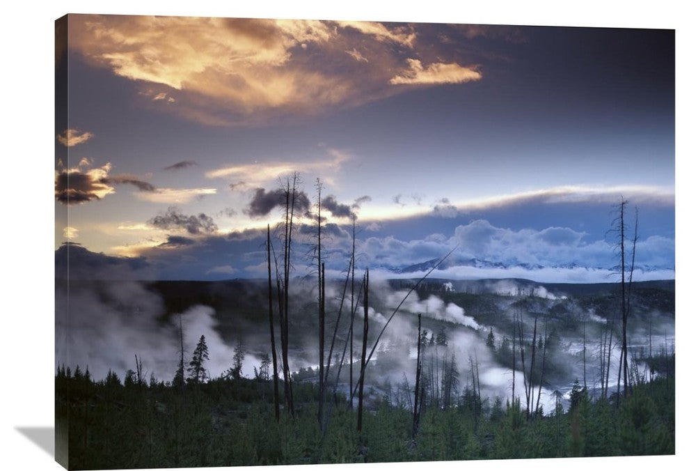 "Norris Geyser Basin, Yellowstone National Park, Wyoming" Artwork