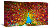 "Peacock Dancing" Animal Photography Canvas Print, 40"x20"