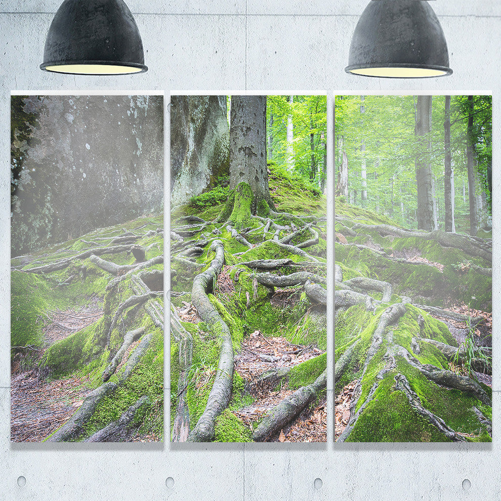"Deep Moss Forest in Ukraine" Metal Wall Art, 3 Panels, 36"x28"