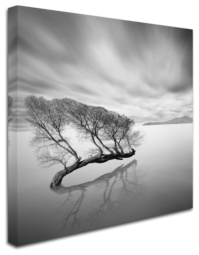 'Water Tree VII' Canvas Art by Moises Levy