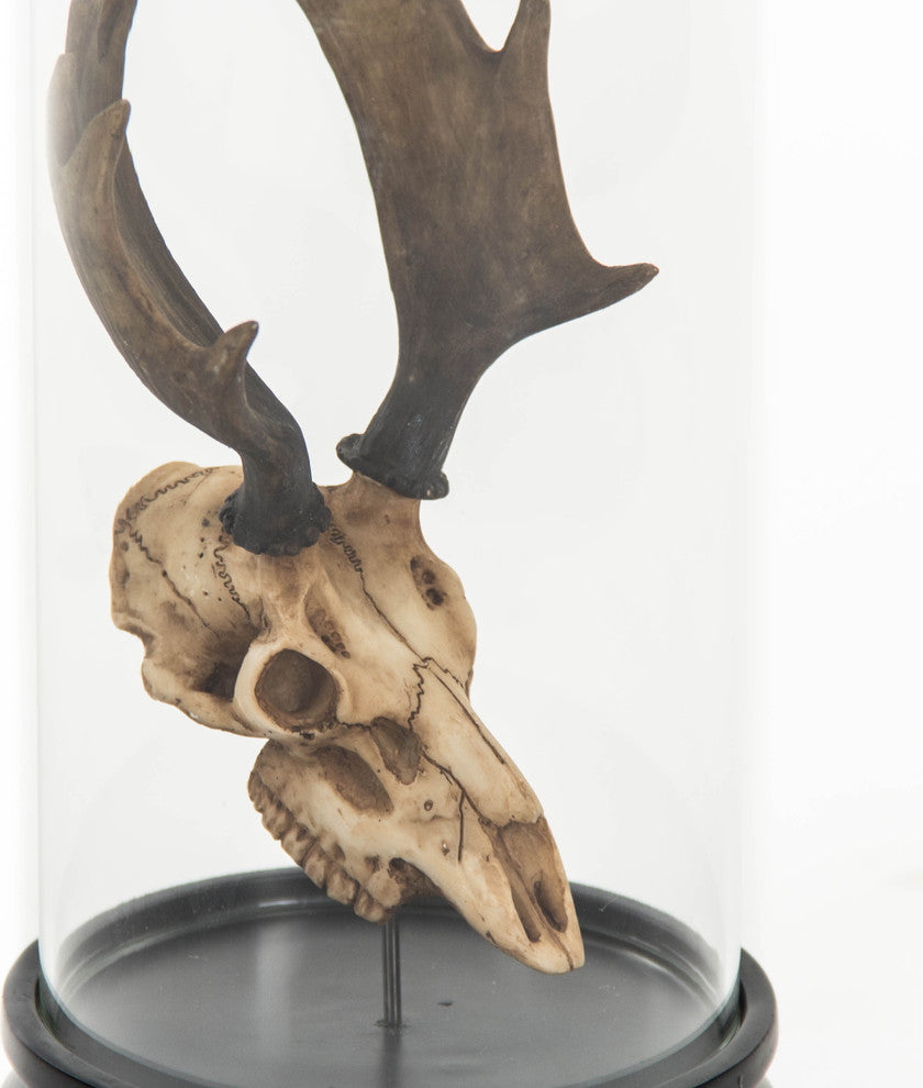 Deer Skull Statue With Cover