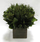 Wooden Container Brown Stain, Salal