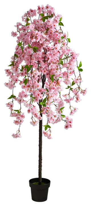 Full product on a white background, front-facing view suitable as primary product image.