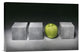 "Green" Stretched Canvas Giclee by Christophe Verot, 18x12"