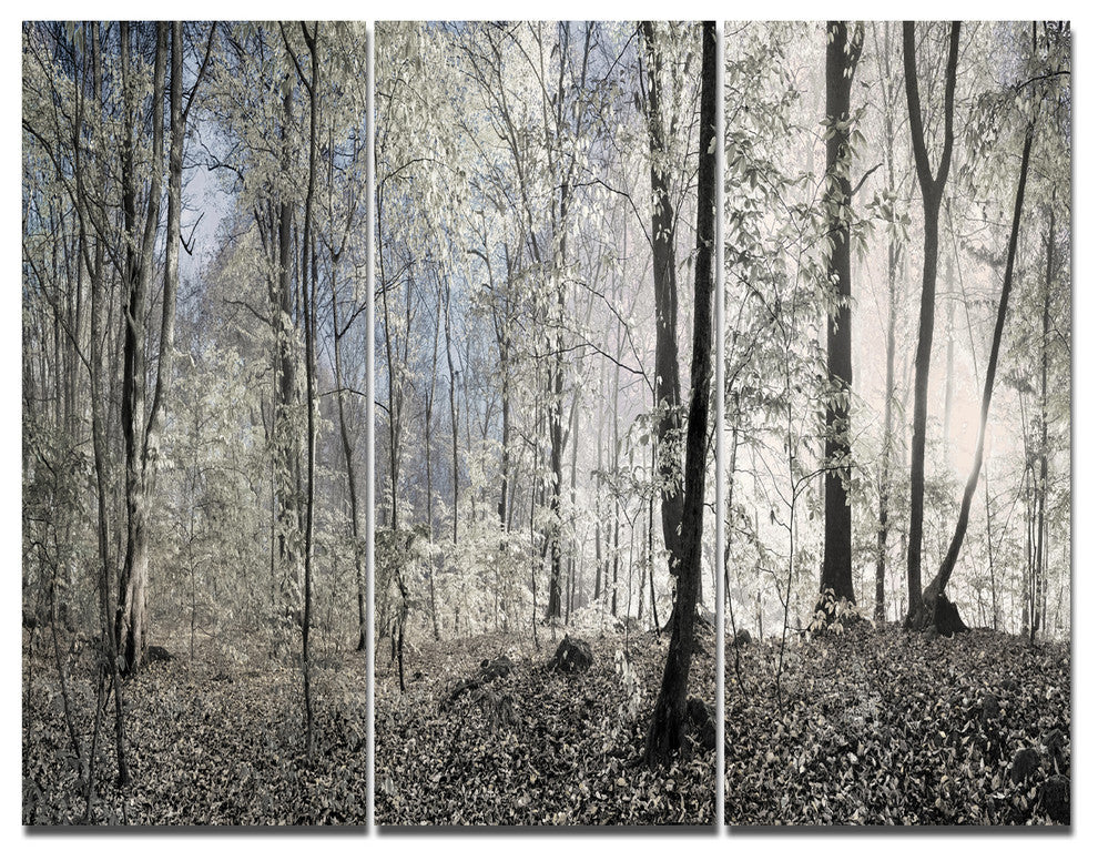 Dark Morning in Forest Panorama, Landscape Triptych Canvas Art, 36x28, 3 Panels