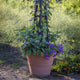 Brunello Planter, Weathered Terracotta, 16"