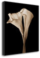 "The Embrace" By John Rehner, Giclee Print on Gallery Wrap Canvas, Ready to Hang