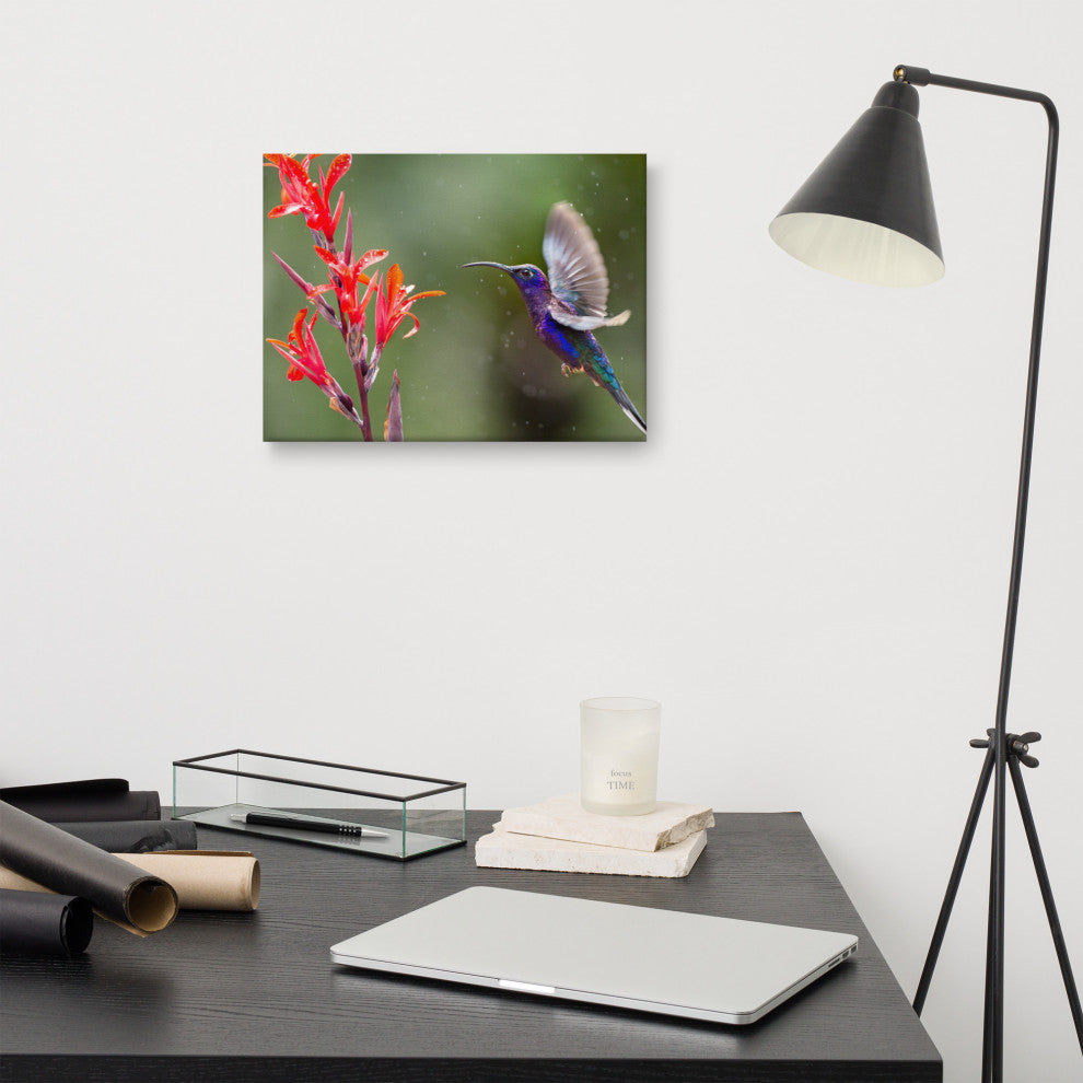 Hummingbird with Little Red Flowers Wildlife Photograph Canvas Wall Art Prints, 12" X 16"