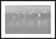 "Shades Of Gray" Framed Digital Print by Massimo Mei, 44x30"