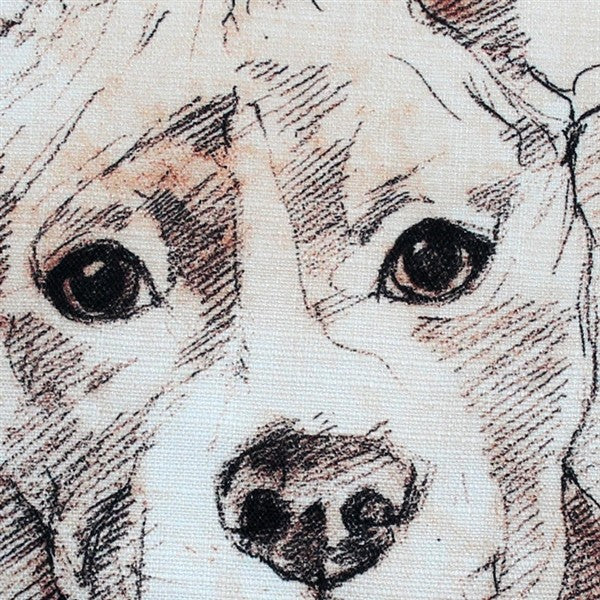 Leonardo's Dogs Pit Bull Dog Pillow