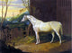 Sr. John Frederick Herring A Gray Arab Mare outside a Stable Wall Decal