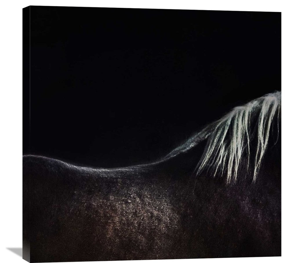 "The Naked Horse" Stretched Canvas Giclee by Piet Flour, 30x30"