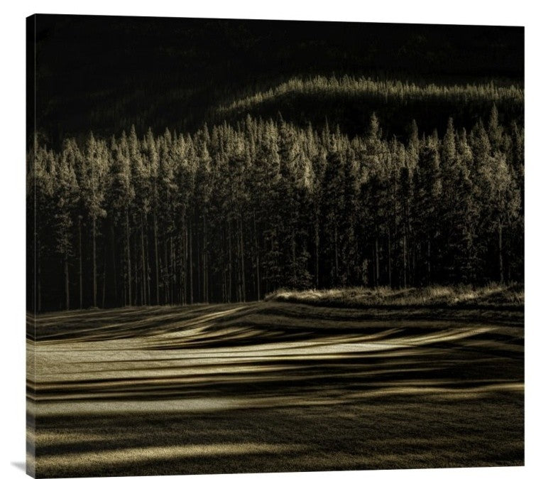 "Delicious Fall" Stretched Canvas Giclee by Yvette Depaepe, 30"x28"
