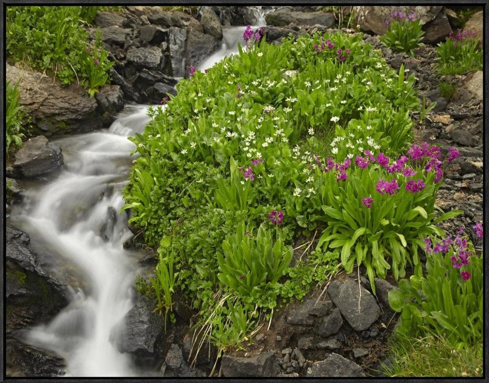 "Porphyry Creek near Silverton, Colorado"  by Tim Fitzharris, 33x25"