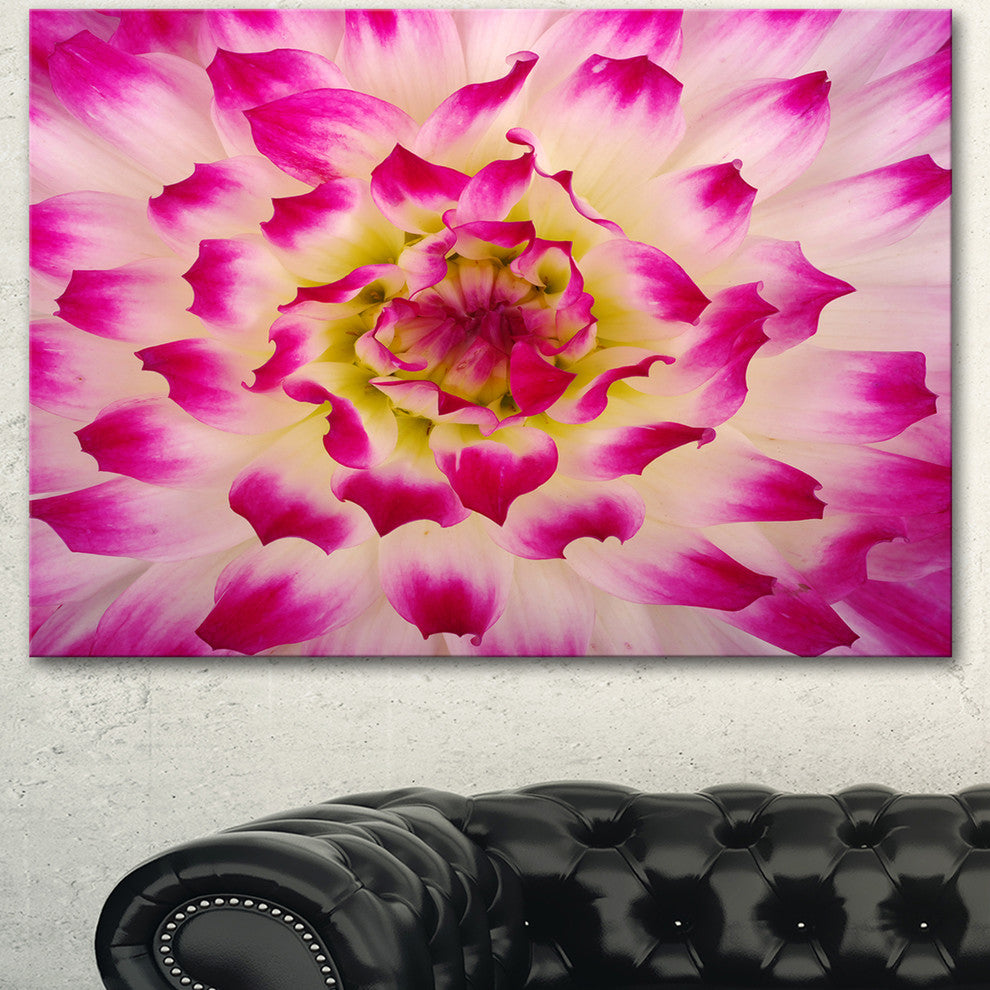Smooth White Rose Flower Petals, Floral Canvas Art Print, 40"x30"
