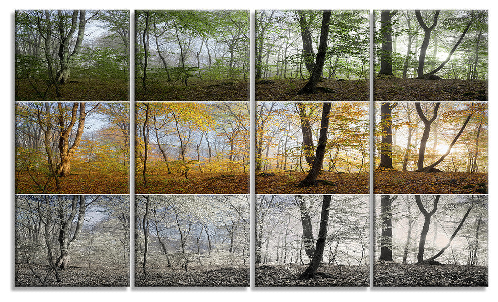 Three Seasons Forest Panorama, Landscape Canvas Art Print, 48"x28", 4 Panels