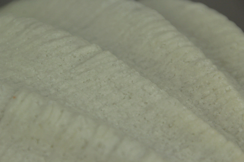 White Sandstone Finish Clam Shell Coastal Art Accent Lamp