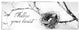 "Nest and Branch III Follow Your Heart" Print by Debra Van Swearingen, 42"x16"