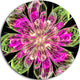 Perfect Fractal Flower In Pink And Green, Floral Disc Metal Art, 23"